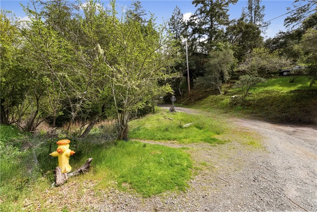 305 Resaca, San Geronimo, CA 94933 - Photo 4 of 21, San Geronimo, CA