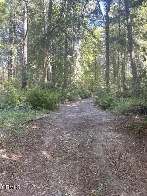 29500 Albion Ridge Road, Albion, CA - Photo 3 of 3, Albion, CA