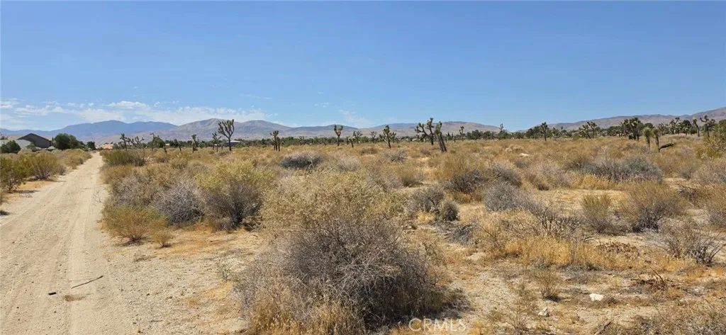 Palmdale, CA 93550