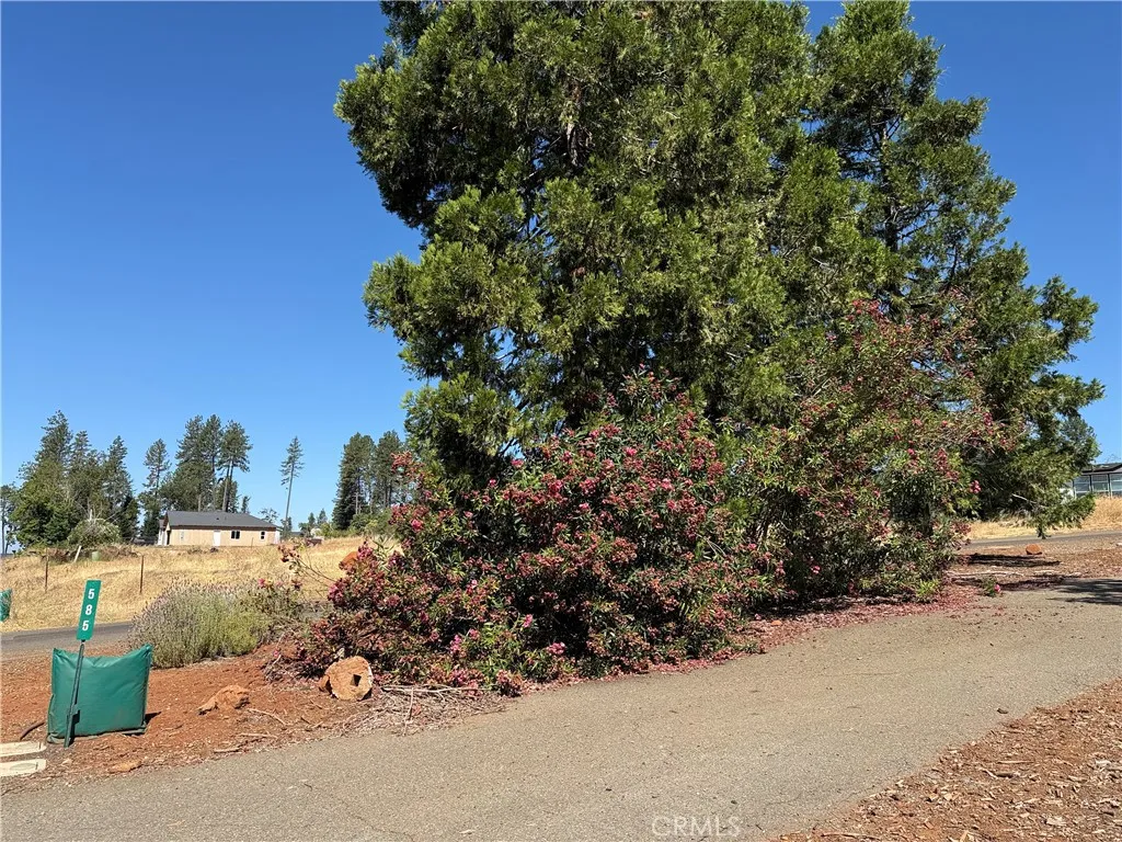 Paradise, CA 95969