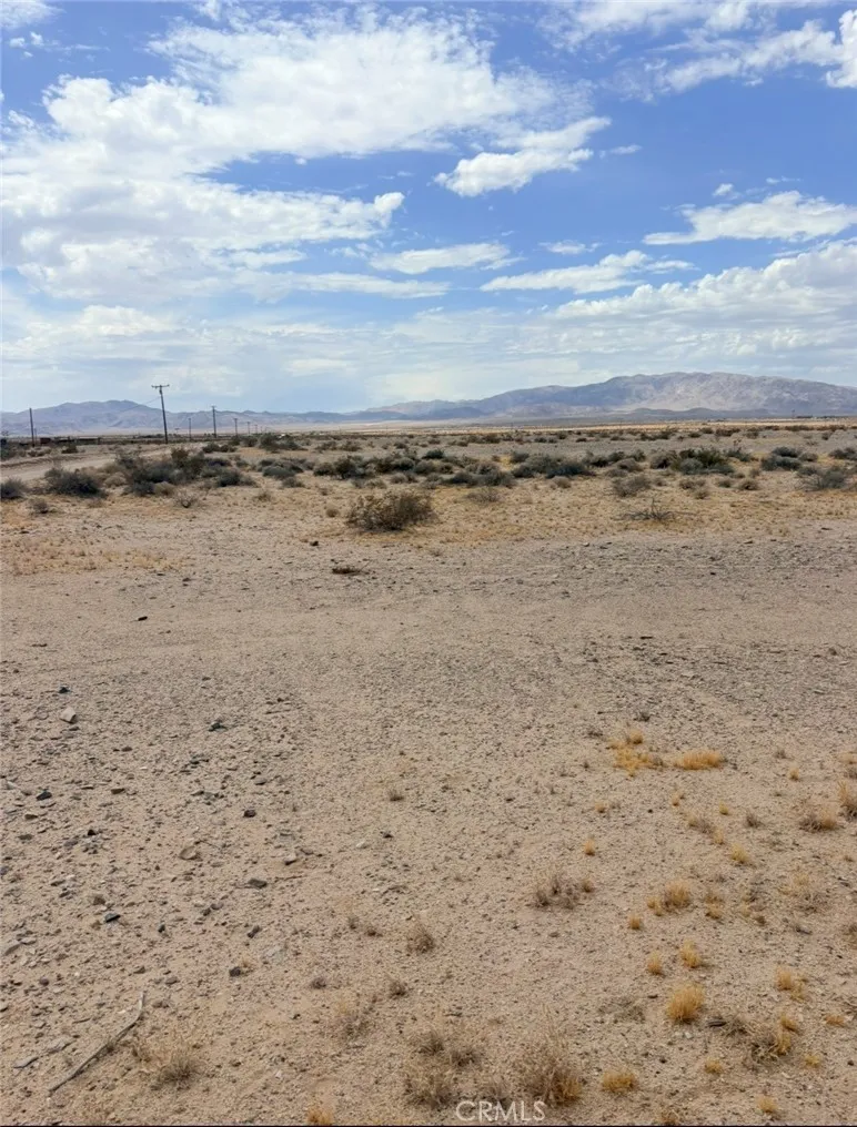 29 Palms, CA 92278