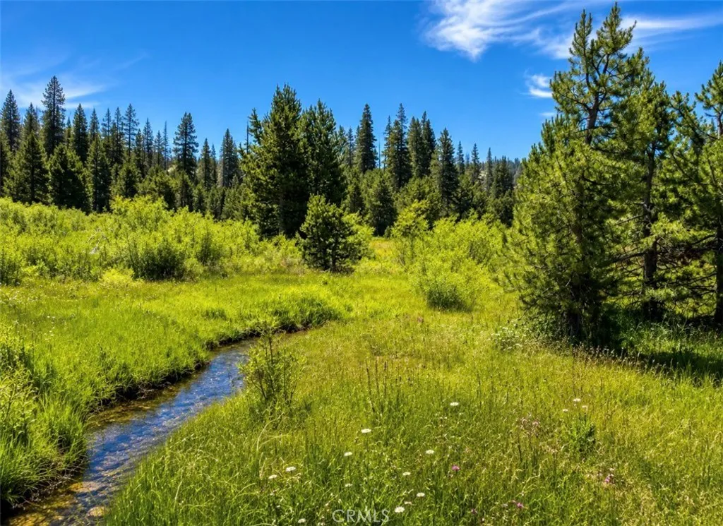 0 Jones Valley, Sierraville, CA 96126 - Photo 2 of 18, Sierraville, CA