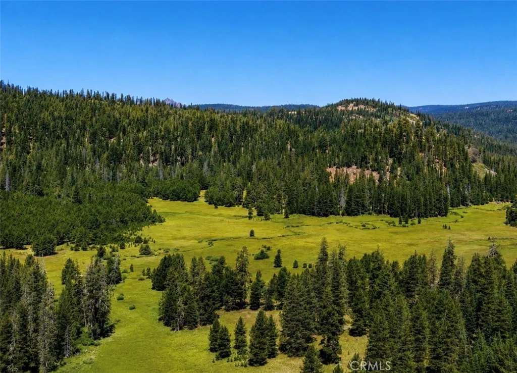 0 Jones Valley, Sierraville, CA 96126 - Photo 4 of 18, Sierraville, CA