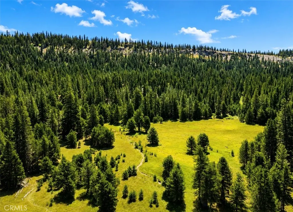0 Jones Valley, Sierraville, CA 96126 - Photo 5 of 18, Sierraville, CA