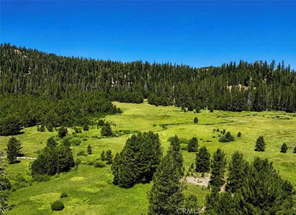 0 Jones Valley, Sierraville, CA 96126 - Main photo, Sierraville, CA