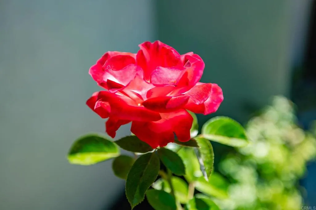 https://cdn.realtyfeed.com/cdn/127/306782192/c07545b5c039838a96d9859bc850f3c5.webp
