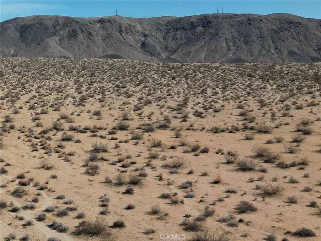 Joshua Tree, CA 92252