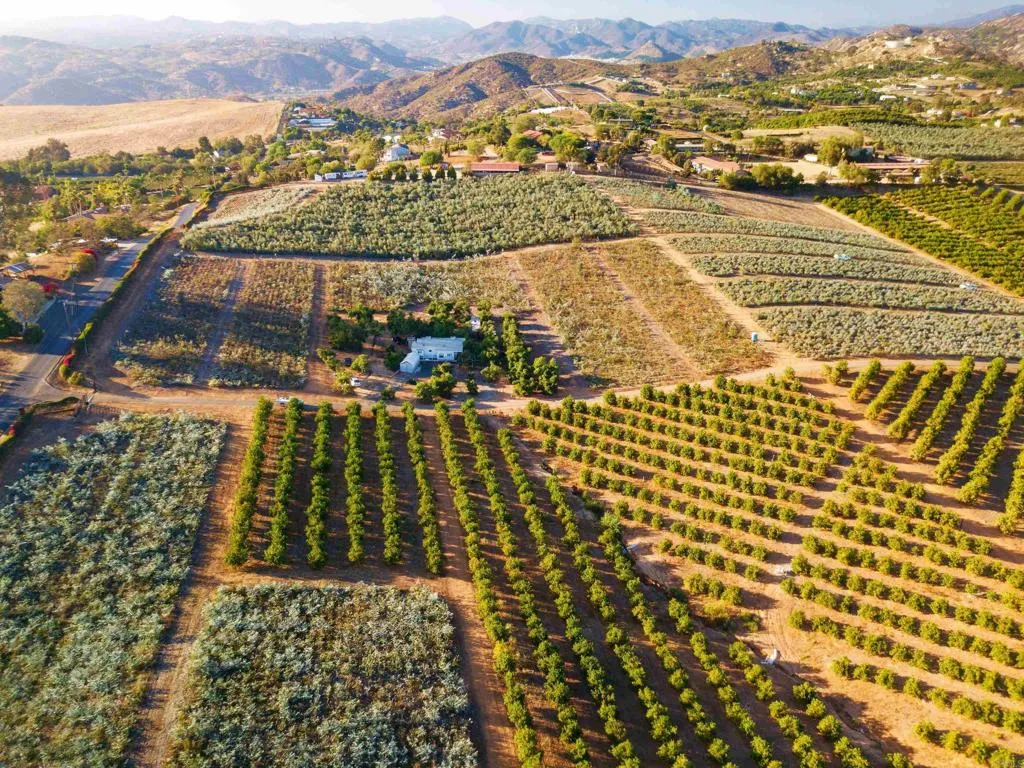31817 Via Ararat, Bonsall, CA 92003 - Main photo, Bonsall, CA