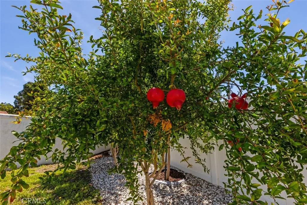 https://cdn.realtyfeed.com/cdn/127/306783115/5b103d66fcfef703f9ecf878047dd832.webp