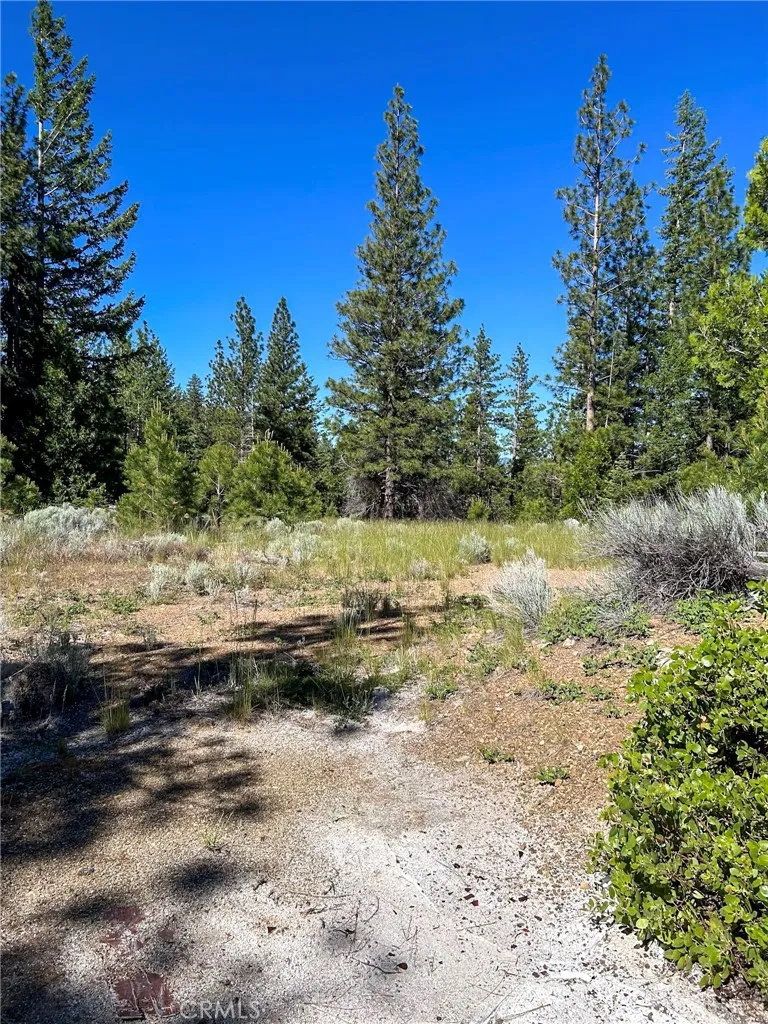0 Gazelle Callahan Rd, Gazelle, CA 96034 - Photo 5 of 29, Gazelle, CA