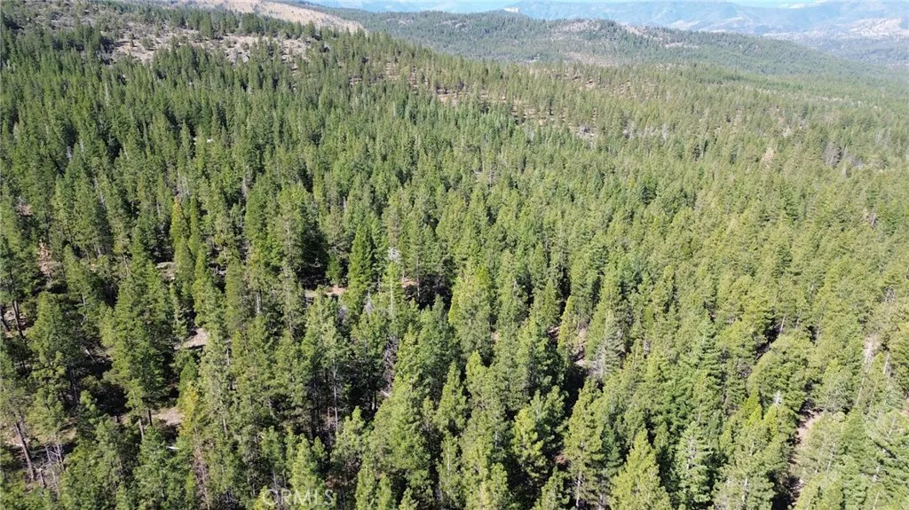 0 Gazelle Callahan Rd, Gazelle, CA 96034 - Photo 2 of 29, Gazelle, CA
