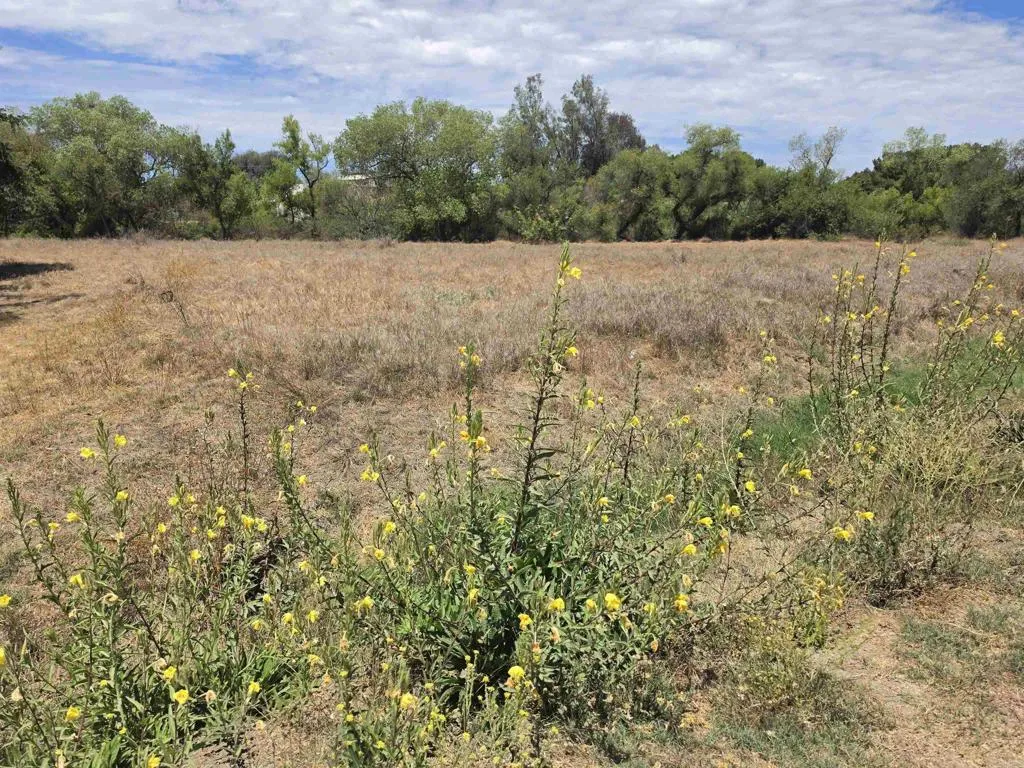 1 Durgin Street, Ramona, CA 92065 - Photo 4 of 8, Ramona, CA