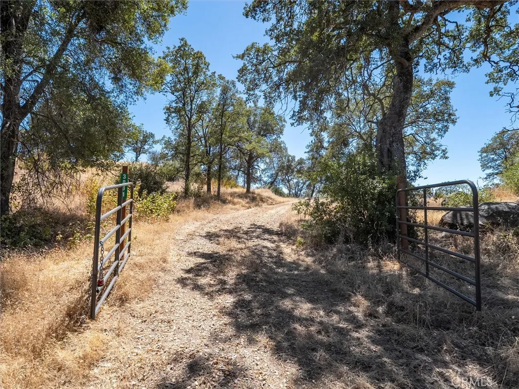 3831 Broncho Hollow