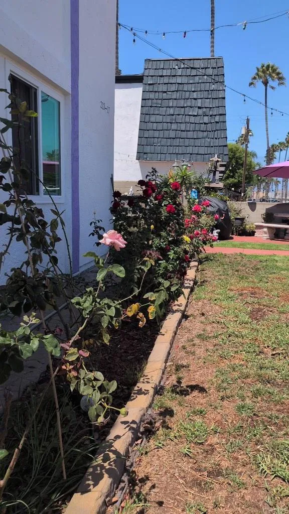 213 Ebony Ave Unit 217, Imperial Beach, CA 91932 - Photo 5 of 13, Imperial Beach, CA