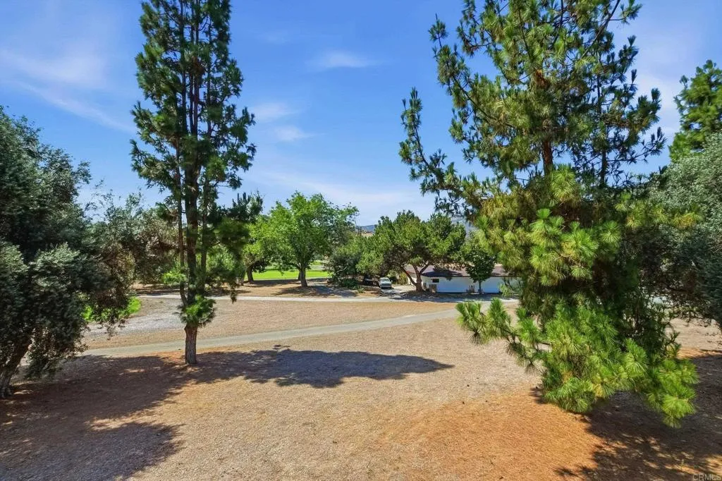 Photo #4: PTP2606011 Listing: Photo #4