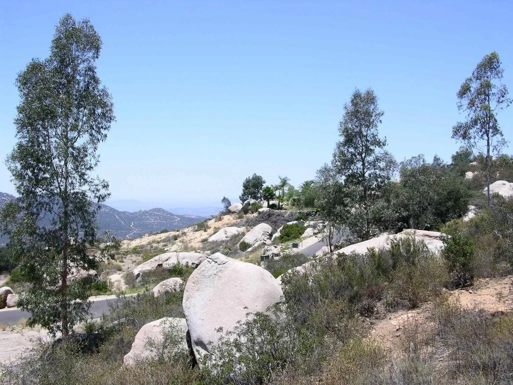 Land for Sale Land for Sale