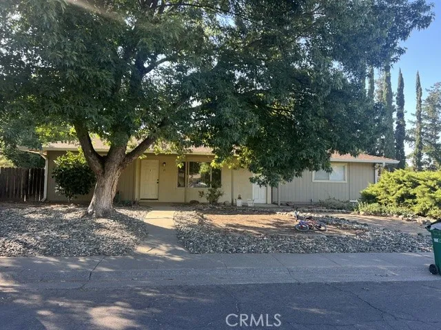 Chico, CA 95973