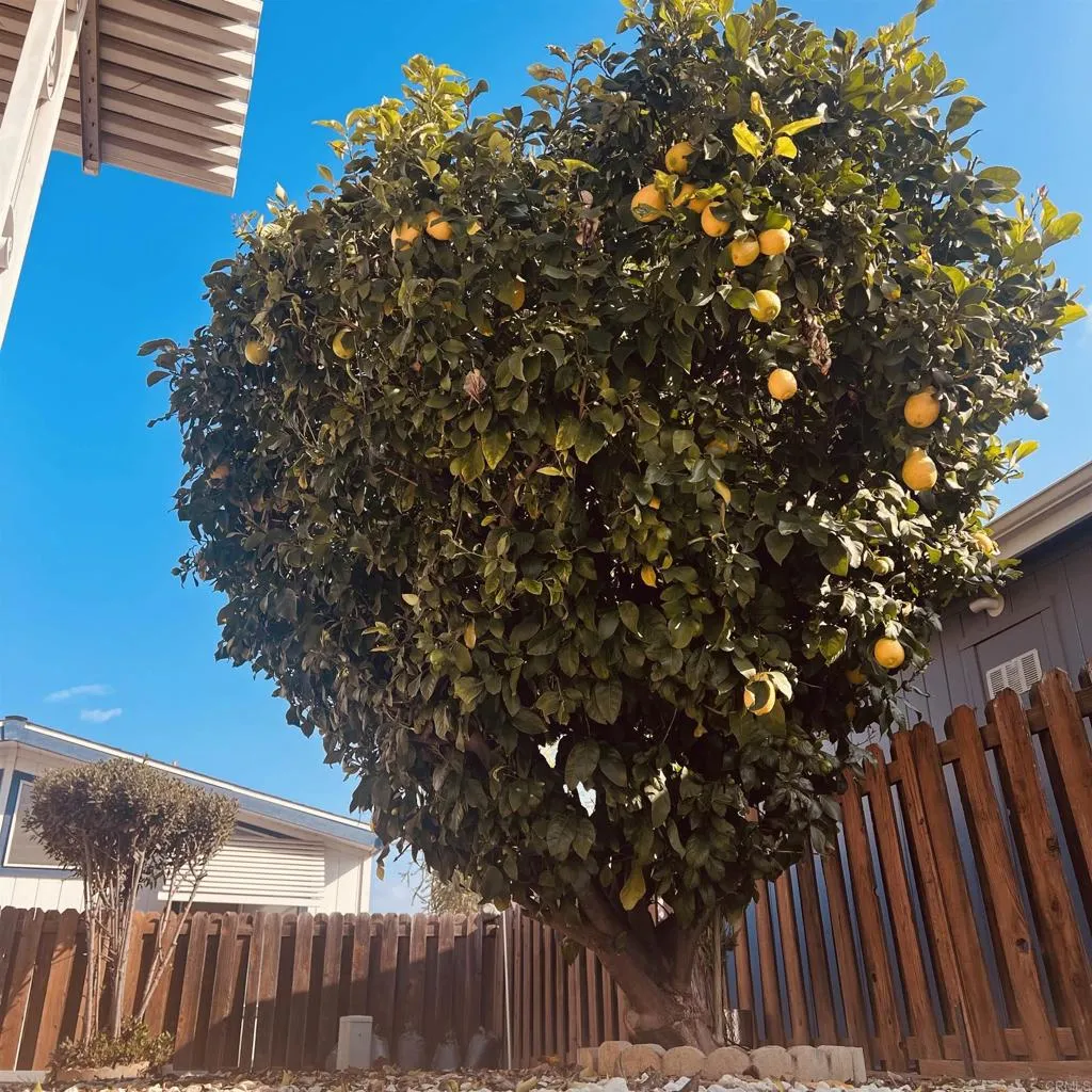 Menifee, CA 92586