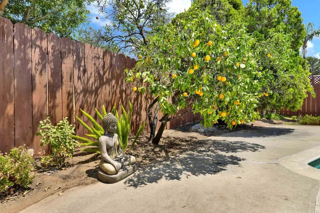 1402 Big Red Road, Alpine, CA 91901 1402 Big Red Road, Alpine, CA 91901