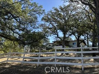 Lower Lake, CA 95457
