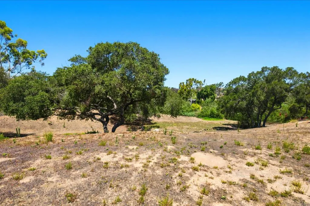 https://cdn.realtyfeed.com/cdn/127/306791044/66167201c63ec211161bf0ef3cb31cb1.webp