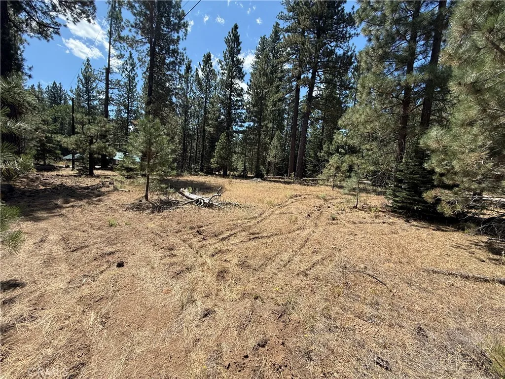 Old Station, CA 96071