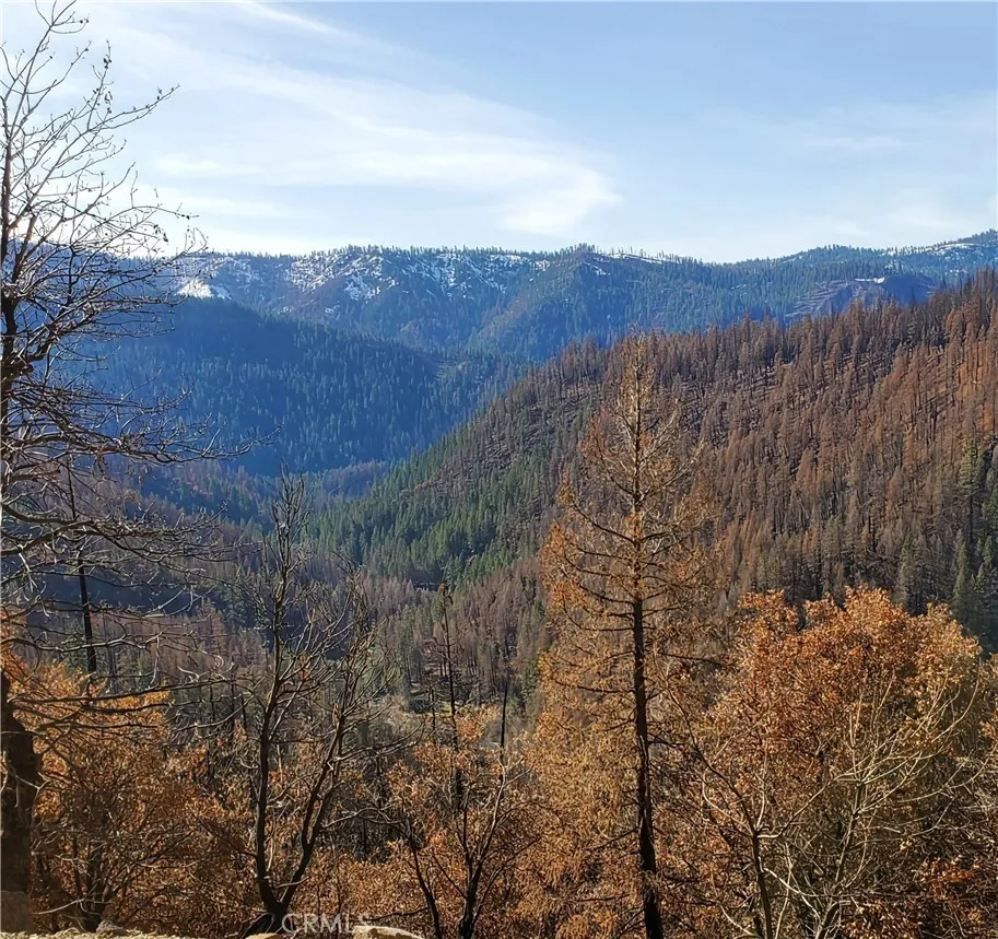 Seneca, CA 95923