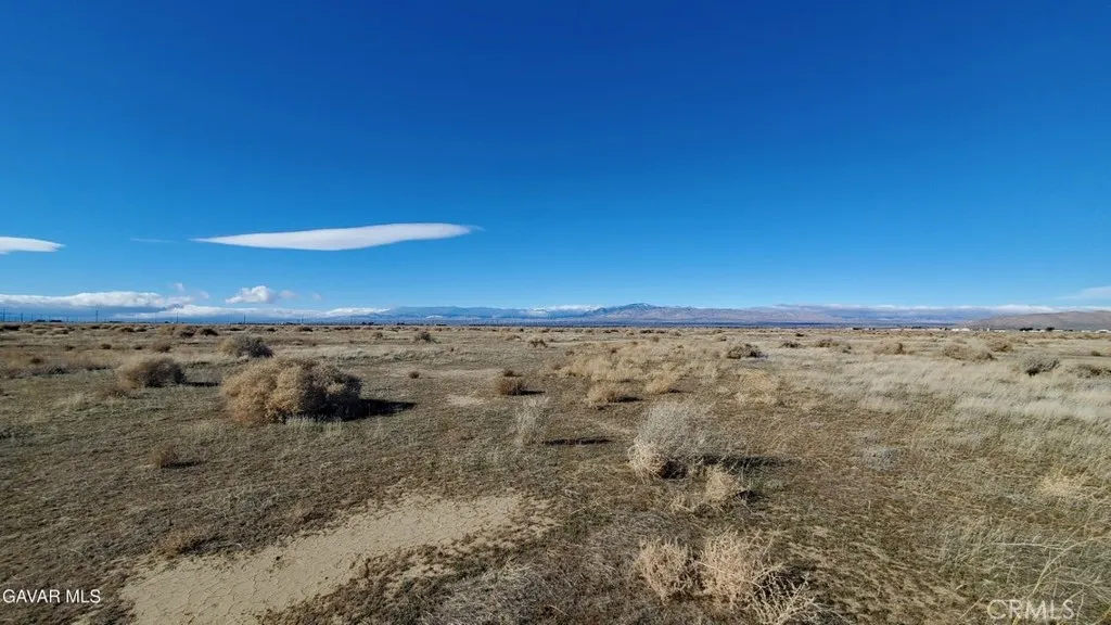Antelope Acres, CA 93536