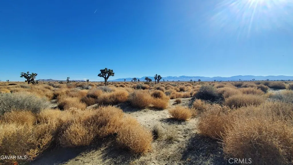 Palmdale, CA 93535
