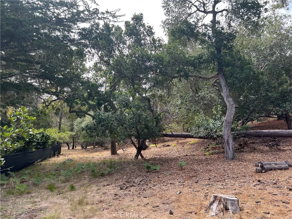 Cambria, CA 93428