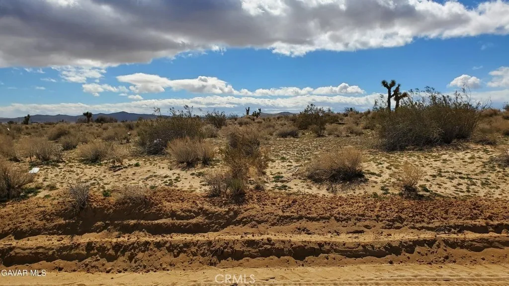 Mojave, CA 93501