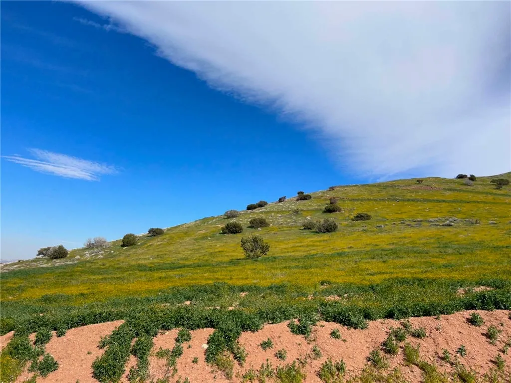 Acton, CA 93510