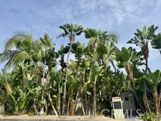 Laguna Beach, CA 92651