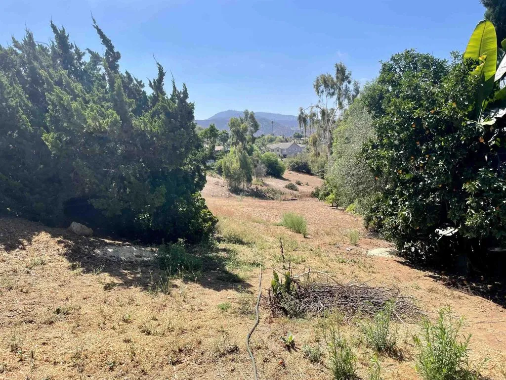 https://cdn.realtyfeed.com/cdn/127/306794697/57708604e98878623e0309cf87b4e2ef.webp