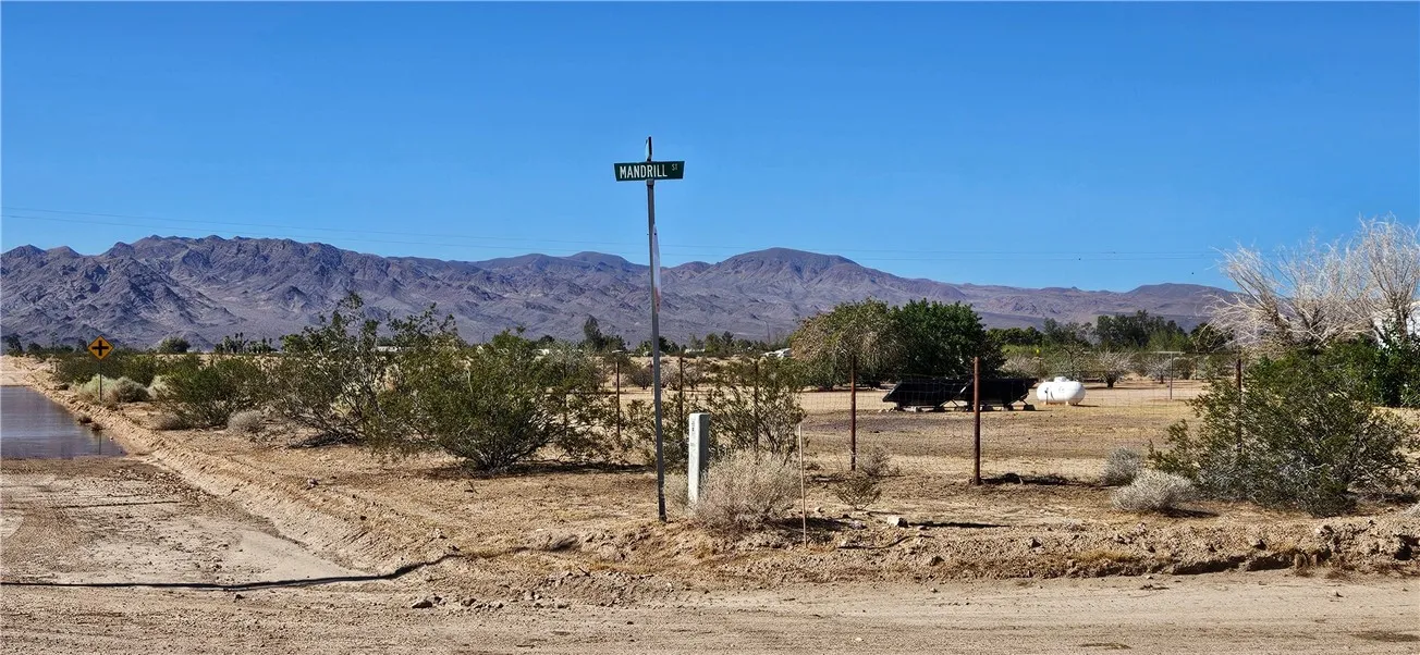 800 Mandrill St., Newberry Springs, CA 92365 - Photo 3 of 5, Newberry Springs, CA