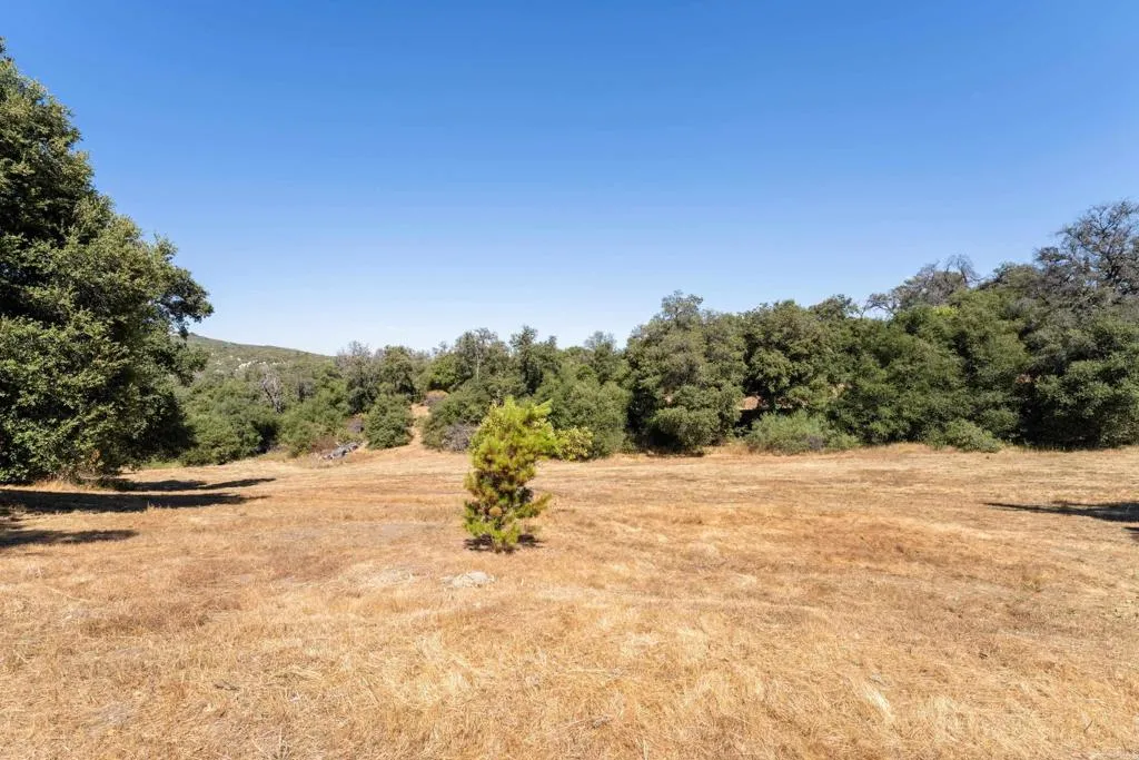 https://cdn.realtyfeed.com/cdn/127/306795310/4c74b6e5ac060f8b2dd7cf3b9e4db771.webp