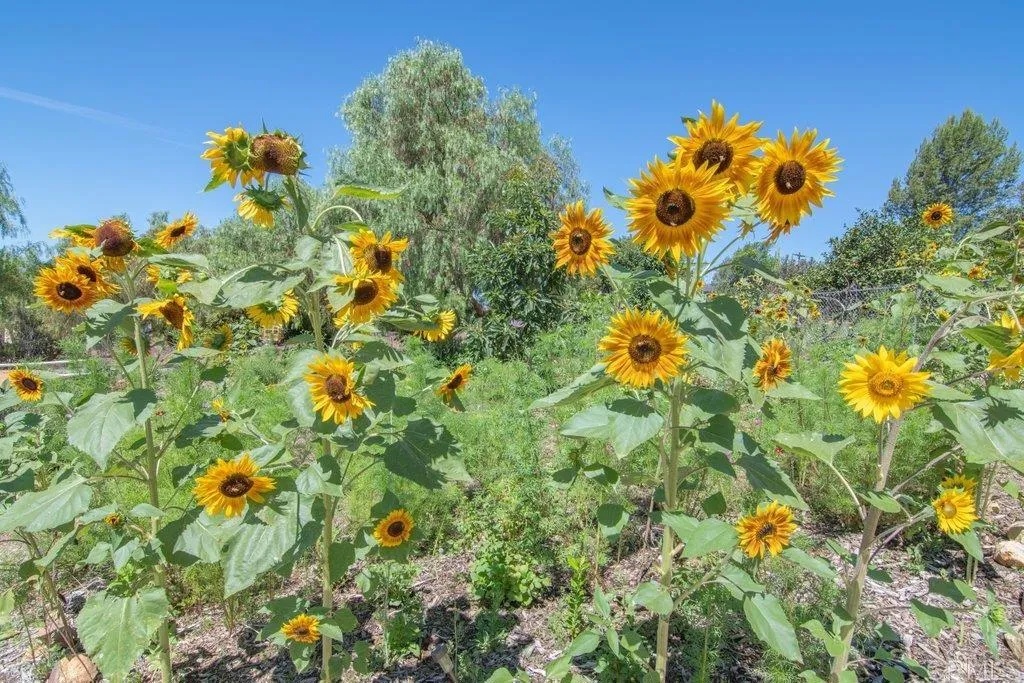 5741 Rainbow Heights Road, Fallbrook, CA 92028 - Main photo, Fallbrook, CA