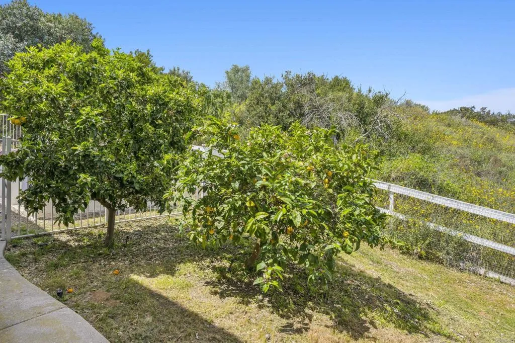 https://cdn.realtyfeed.com/cdn/127/306800564/d71a9fa41da7e698e72c6e505d186415.webp