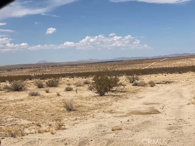 29 Palms, CA 92277