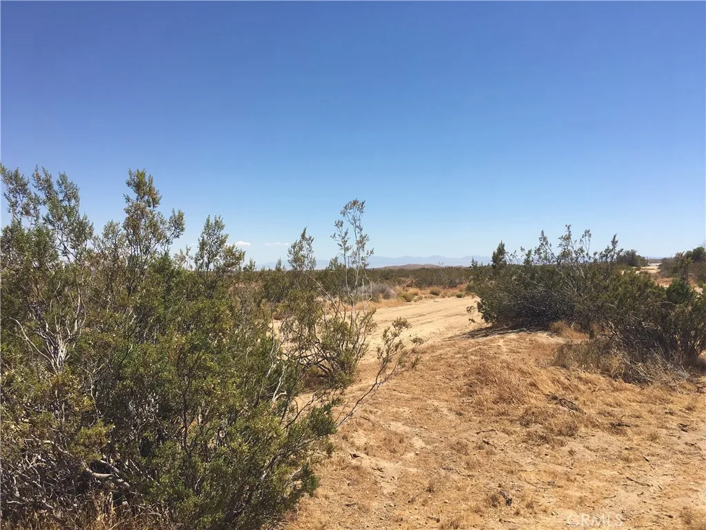 Mojave, CA 93501
