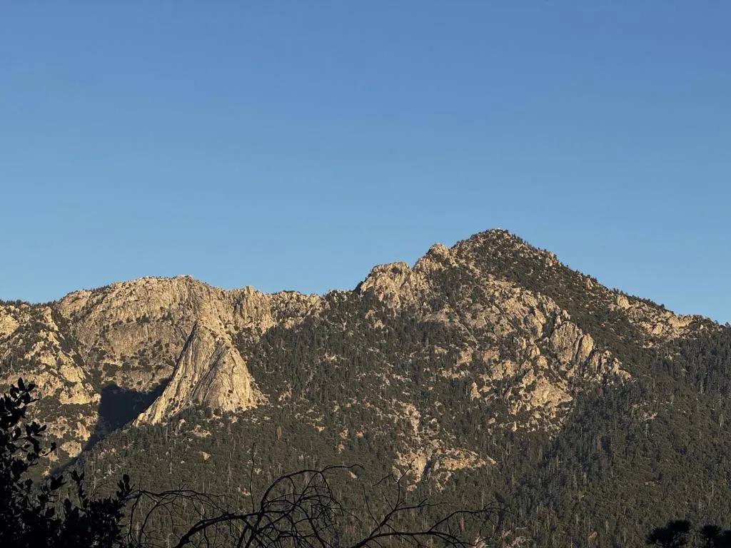 25327 Scenic View
