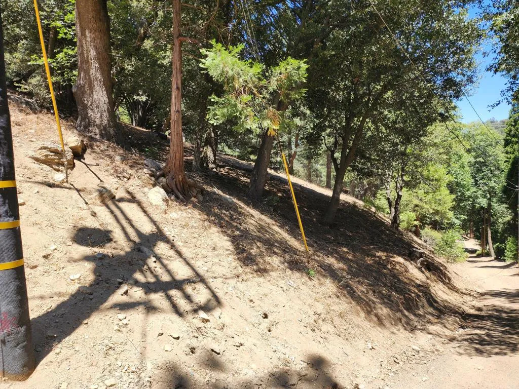 Cedarpines Park, CA 92322