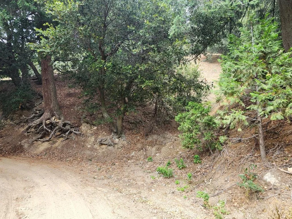 Crestline, CA 92325