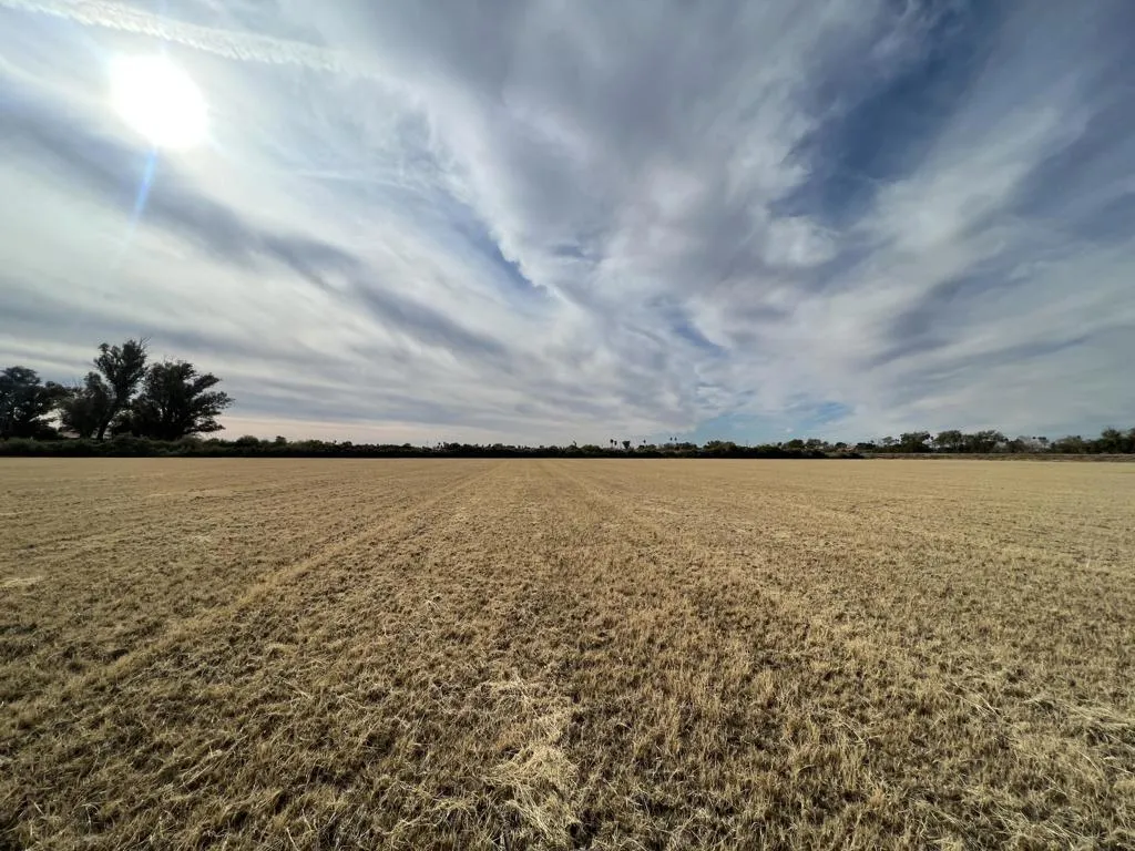 Blythe, CA 92225