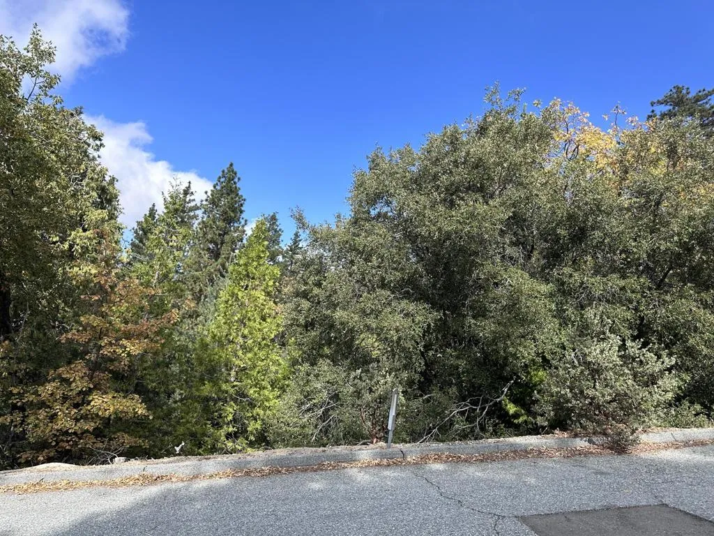 0 Round Robin, Idyllwild, CA - Main photo, Idyllwild, CA