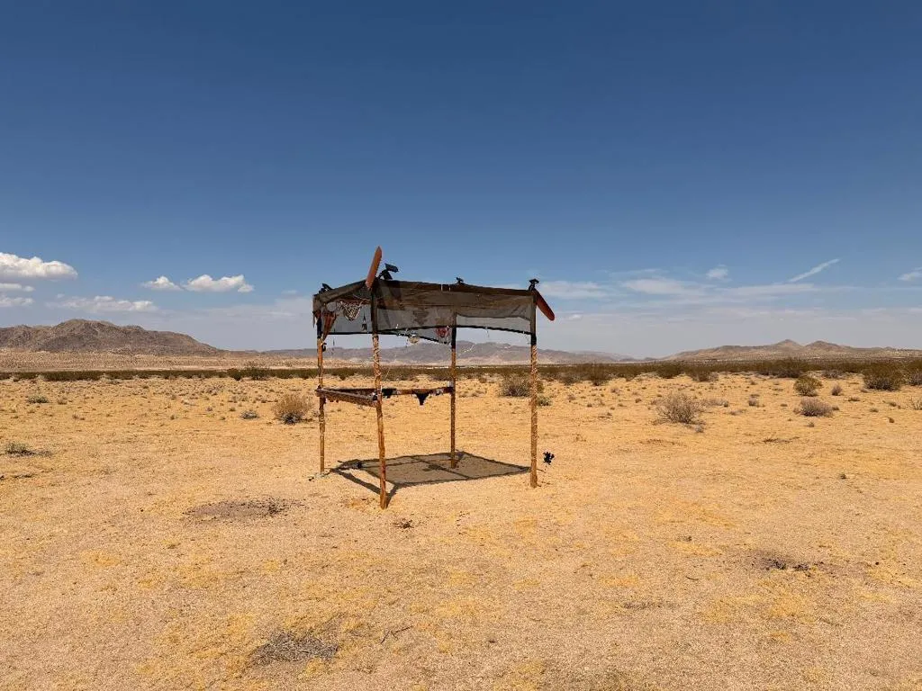 Johnson Valley, CA 92285