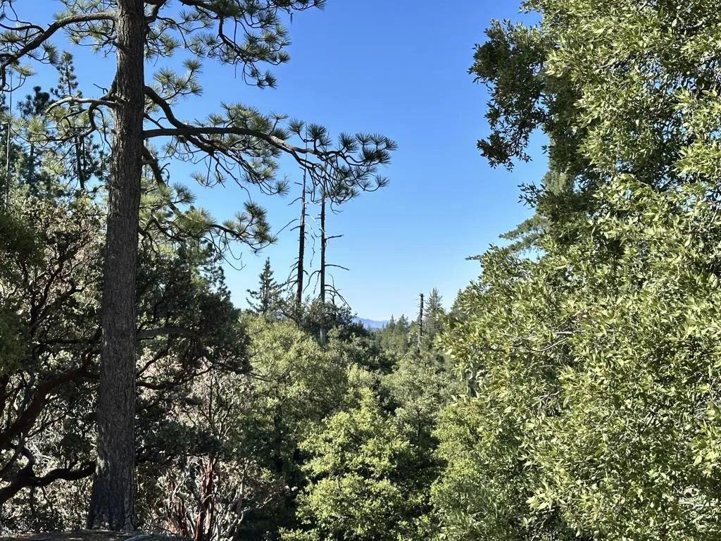 0 Mountain View
