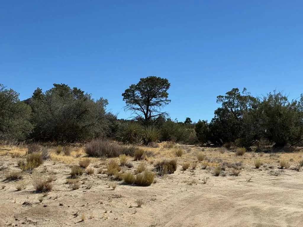 Mountain Center, CA 92561