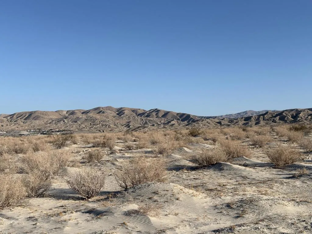 Thousand Palms, CA 92276