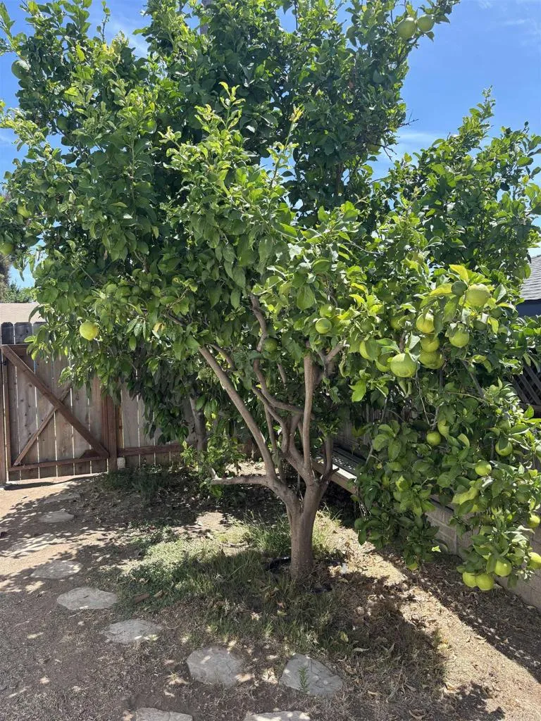 https://cdn.realtyfeed.com/cdn/127/307060601/7179fb16886ddd2cc3441ea8f7462366.webp